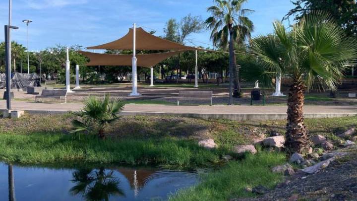 Avanzan trabajos para los ‘Senderos de Paz’ en el Parque Central de Mazatlán