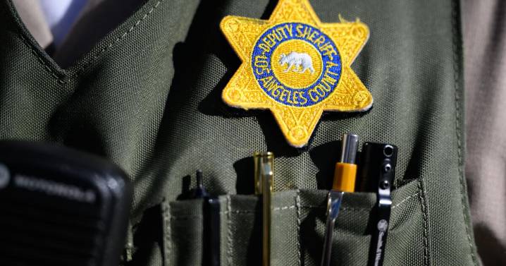 Feds sue L.A. County sheriff for 'unreasonable' delays in issuing concealed gun permits