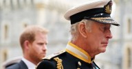 King Charles and Prince Harry met for first time in more than a year