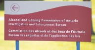 AGCO concludes there was no wrongdoing in Aug. 4 race at Fort Erie Racetrack