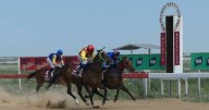 Brotherly bond key to Birdsville Races epic journey
