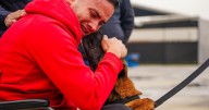Video: emotivo reencuentro de un policía con su fiel compañero canino, Telmo