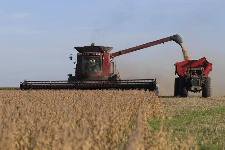 Menos soja. Advierten sobre una caída de hasta 1,35 millones de hectáreas en la siembra del cultivo que más dólares genera
