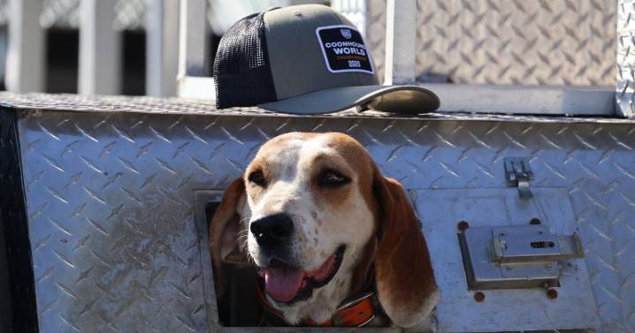County hosting regional hunt over the weekend