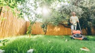 Exact date to stop mowing your lawn in September to get lush grass by spring and there is a height you must leave it at