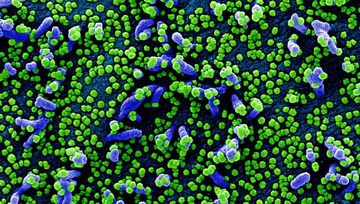 COVID-19 Stratus Variant: What Are The Symptoms?