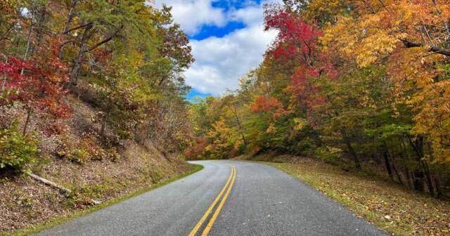 Favorite fall activities in Charlottesville