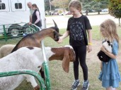 Seaforth Fall Fair celebrates Hometown Harvest 2025
