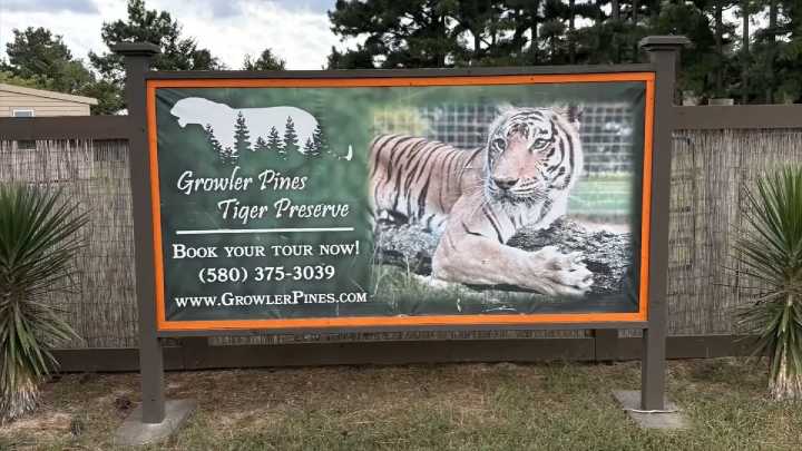 Tiger kills Oklahoma trainer linked to ‘Tiger King’ Joe Exotic