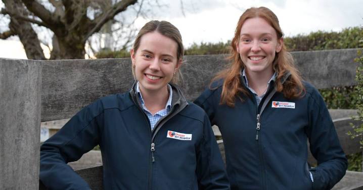Vets encourage producers to prepare now for spring calving