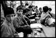 Govt: One-third Of  Children (5-9) Have High Triglycerides
