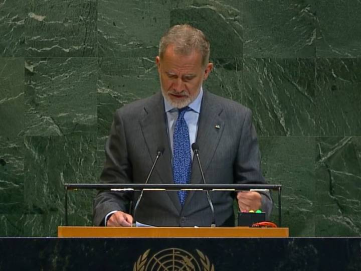 “Clamamos, detengan esta masacre”: Felipe VI sobre Gaza