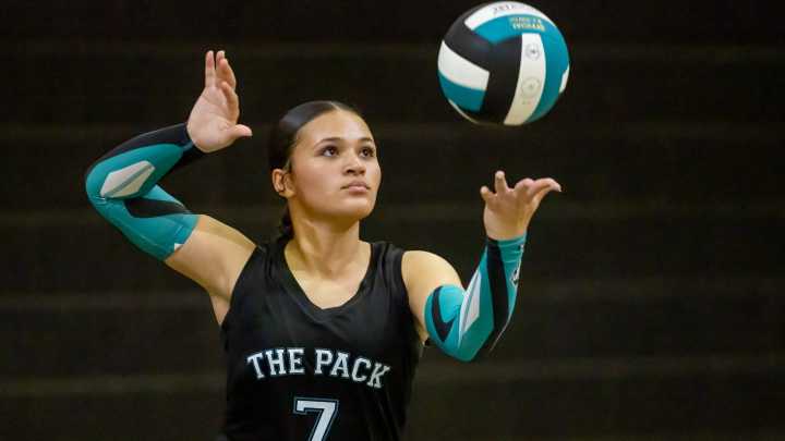 See the photos! West Port and North Marion volleyball meet on the court
