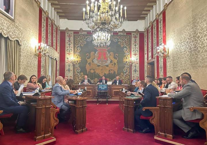 El pleno de Alicante es incapaz de alcanzar un acuerdo para condenar la masacre de Palestina