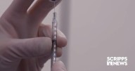 CDC vaccine advisory panel changes its recommendations for MMRV vaccines