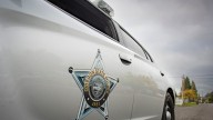 Springfield motorcyclist dies after striking deer on Highway 126
