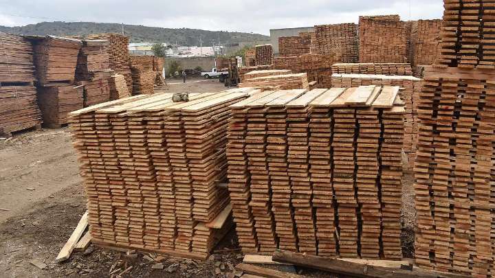 Baja producción maderera en Parral hasta un 20% por falta de demanda