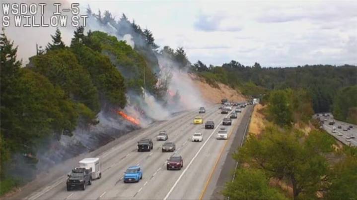 Beacon Hill brush fire caused accidentally, investigators say