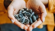 Estos son los números de la suerte del miércoles 24 de septiembre de 2025