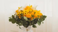 Las plantas con flores amarillas perfectas para iniciar la primavera: qué significan y cómo cultivarlas