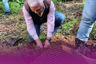 Plantan mil 500 árboles en jornada forestal en Villa Guerrero