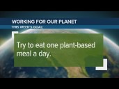 Consider eating 1 plant-based meal a day | Working For Our Planet