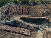 Donald Trump hits Canadian lumber producers with extra 10 per cent tariff