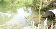 Autoridades se reúnen para atender contaminación del río Axtla
