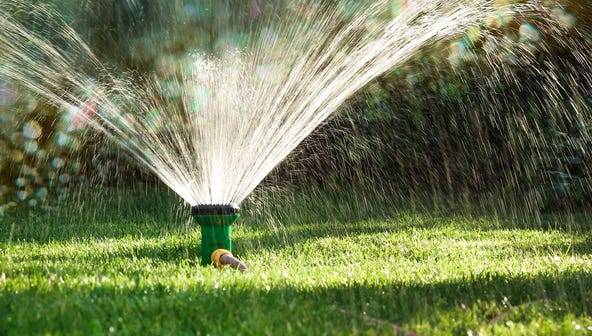 Fall is the best time to plant grass seed. Here are 6 things to know