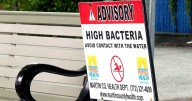 High levels of fecal bacteria found near Roosevelt Bridge