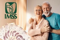 IMSS: Renta Vitalicia permite pensión de por vida y retiro antes de los 60