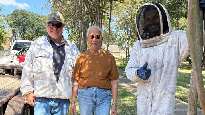 Beekeeper saves Texas homeowner from costly bee removal
