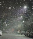 Alerta naranja por lluvias y nevadas en el Parque Nacional Lanín