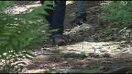 74-year-old Massachusetts hiker rescued from New Hampshire trail