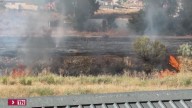 Extinguido un incendio de pastos, sin heridos, en la Cañada Real