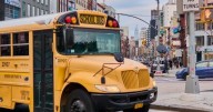 The untold story of the American school bus and why this icon still rules the road