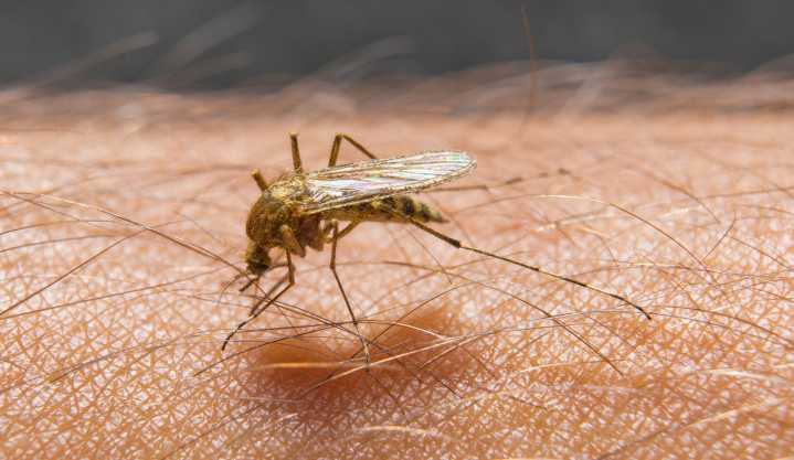 15th positive West Nile Virus sample found in Mercer County