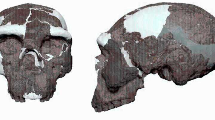 Is the “million-year-old” skull from China a Denisovan or something else?