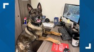 Retired Texas K9 needs healing and your letters of support