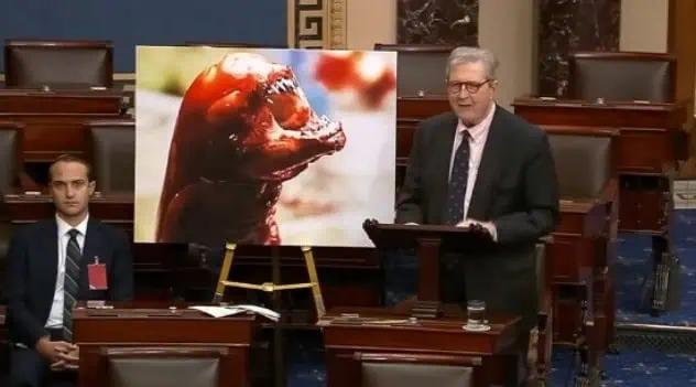 "You'll Grow An Extra Ear": Louisiana Sen. John Kennedy Warns Of Radioactive Shrimp Dangers