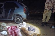 Caza ilegal en Entre Ríos: recuperan cría de ciervo y decomisan animales faenados