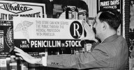 Reporter's Notebook: Penicillin and the power of observation