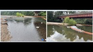EPA shares before and after photos of Smitty's Supply cleanup on Tangipahoa River