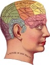 Why We Still Need Categories in Personality Diagnosis