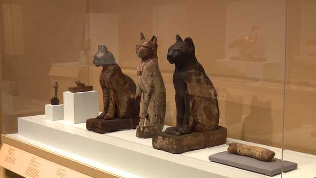 Ancient Egypt's mummified animal tradition on display at Walters