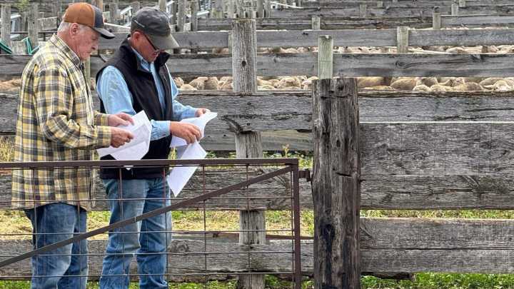 Tariffs and trade war bring volatility to South Dakota ag industries