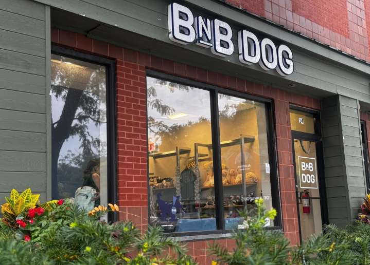 Five new businesses in Anne Arundel County you may have missed