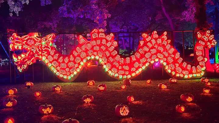 Jack O’ Lantern World announces second location in Chicago area