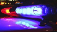 Police: Woman, 19, reported missing in Delta Township found dead