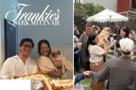 NYC couple host bark-mitzvah for senior pug: 'She's just the sweetest'